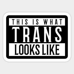 This is what Trans Looks Like, Transgender Shirt Sticker